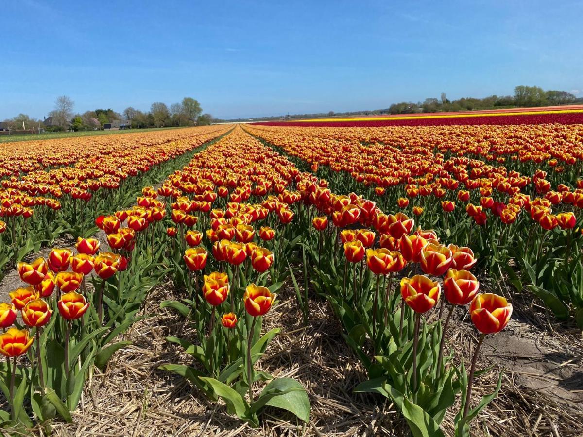 Zandrijk Egmond aan den Hoef Esterno foto